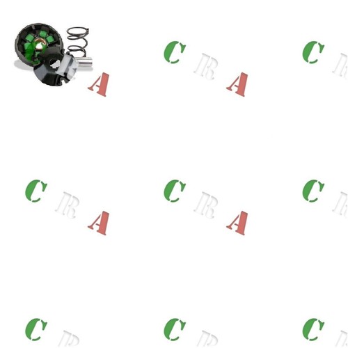 25260217 kit variatore pinasco - 25260217,
