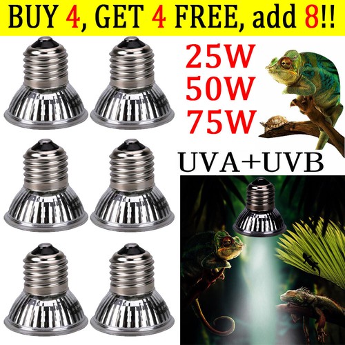 Lampada lampadina uva - lampadina, uva+uvb
