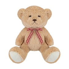 Peluche orso giocattolo