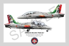 Aermacchi MB-339A Phase Out Squadron Print - Poster 30x45 - Italian Air Force
