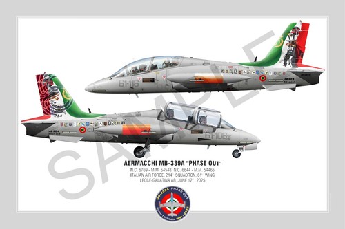 Aermacchi 339a phase - phase, out