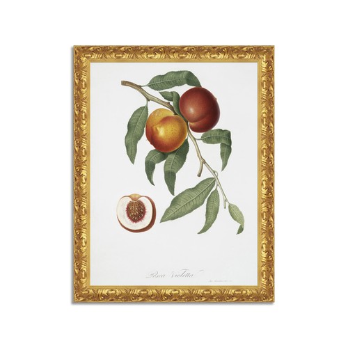 Quadro stampa tela effetto - tela,