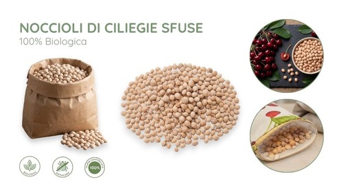 Noccioli ciliegie sfusi - noccioli,