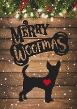 Cane cucciolo Chihuahua. Punto