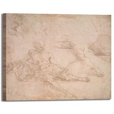 Raffaello studio di Diogene