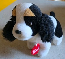 TRUDI KING CHARLES SPANIEL