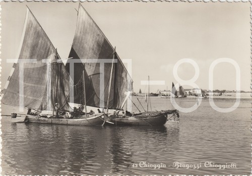 Chioggia bragozzi - chioggia,