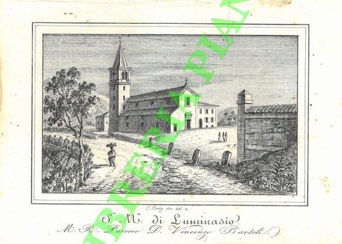 Bologna stampe corty - corty, s