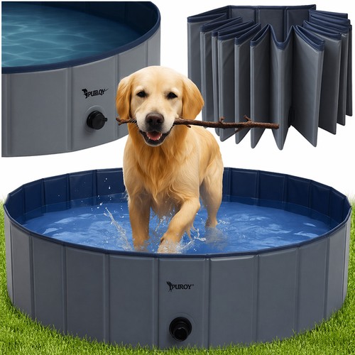 Piscina pieghevole per cane