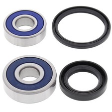 25-1602 ALL BALLS KIT