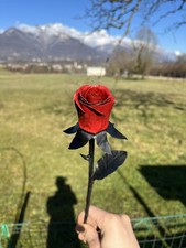 Rosa in ferro battuto