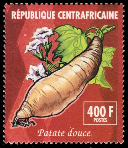 Repubblica centrafricana 1035d - centrafricana,
