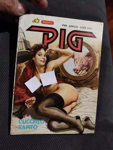 Pig l uccello - pig, 28