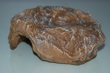 Vivarium Rifugio Medio Sabbia