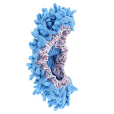 Pantofole Per La Pulizia Dei