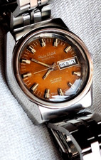 Philip Watch Mineral Aut