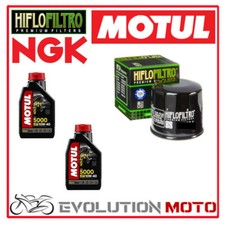 KIT FILTRO HIFLO + 2LT OLIO