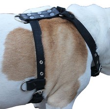 Imbracatura per cani in vera