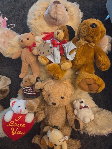 Lotto orsetti peluche - lotto,