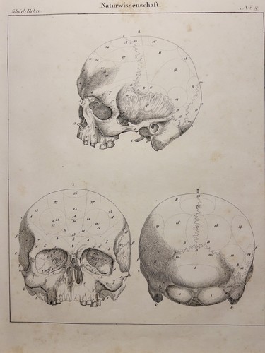 Litografia antica 1833 - litografia,