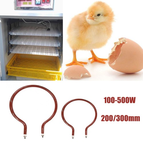 Incubatrice per animali - , in