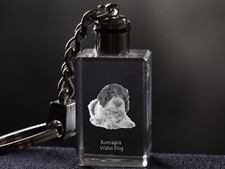 Lagotto Romagnolo, Cane