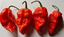 Big red mama polvere - mama,