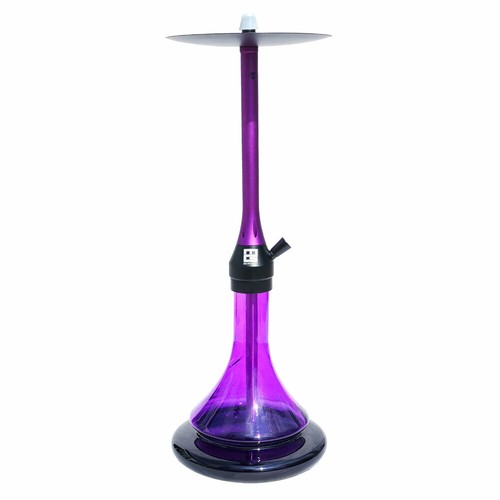 Hookah the chameleon purple - the,