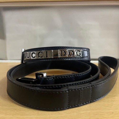 Gucci dog set collare - set, e