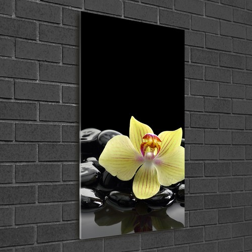 Quadro stampa plexiglas - quadro, plexiglas®