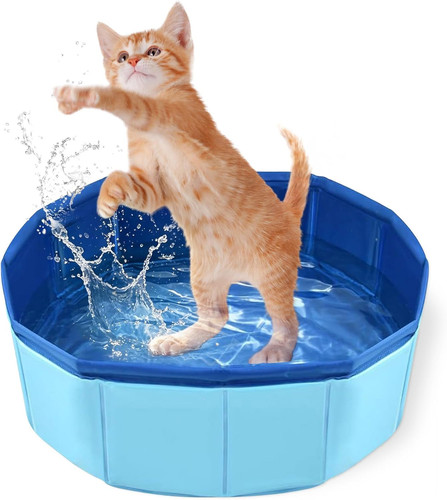 Piscina per gatti - 30, 10