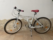 Bici Pieghevole Mountain Bike