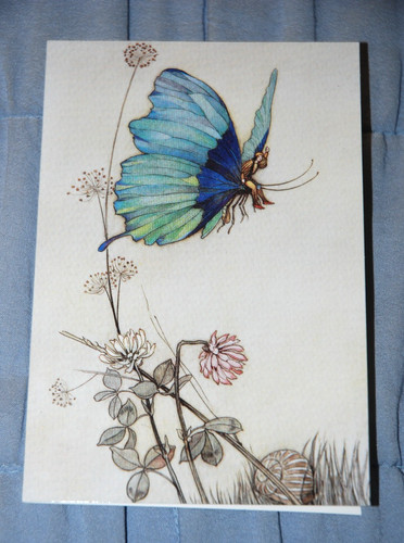 Warwick goble pollicino - goble:, tom