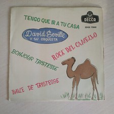 DAVID SEVILLE CAMEL ROCK (ROCK