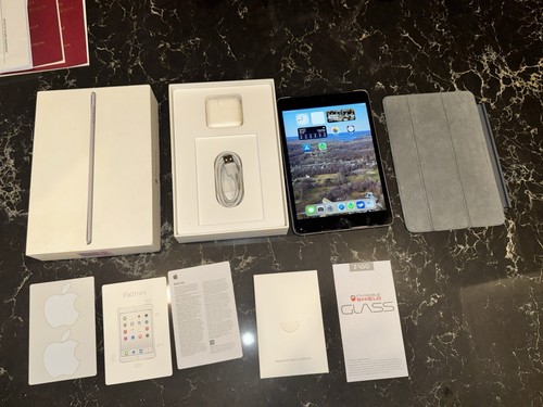 Apple ipad mini - 4, 16gb