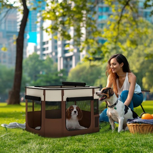 Box per cani - box, porte