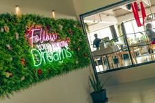 Scritta LED Parete (FOLLOW YOUR FUCKING DREAM’S) + Sfondo Prato e Fiori Finti.