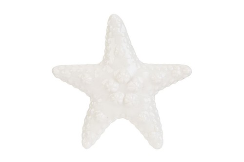 Stella marina porcellana - stella,