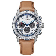 Citizen Promaster Blue Impulse