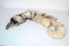 BELLISSIMA VECCHIA STOLA ANNI