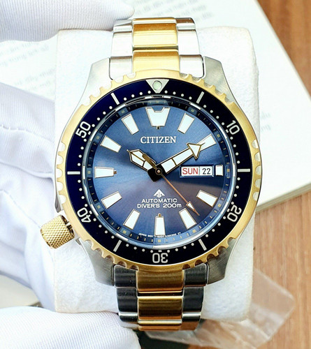 Citizen promaster automatic - promaster,