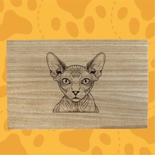 Sphynx design razza gatto