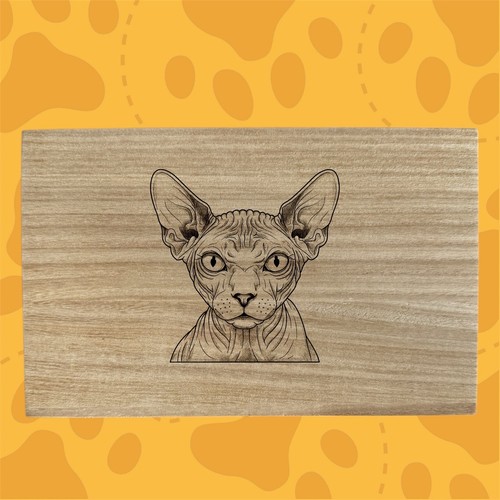 Sphynx design razza gatto