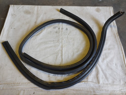 Guarnizione porta destra ford - porta,