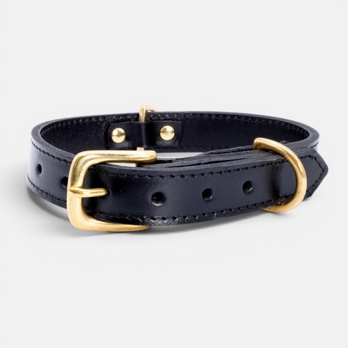 Collare per cani - , junipet