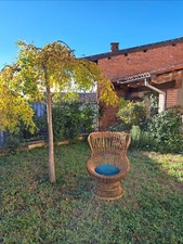 FRANCO ALBINI BONACINA