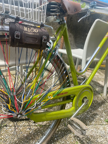 Bicicletta mico bici verde