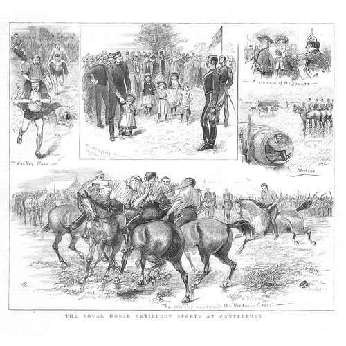 Canterbury royal horse - canterbury,