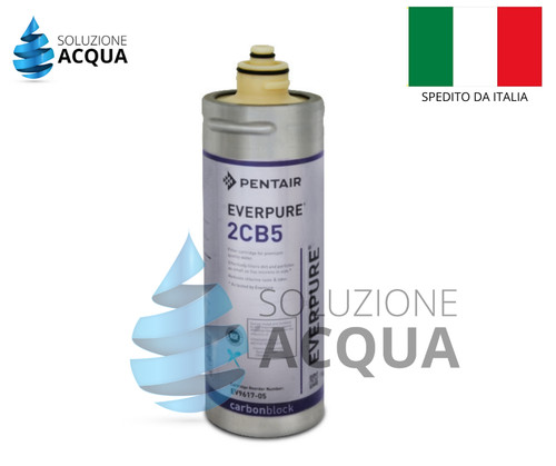 Filtro everpure 2cb5 ev961705 - filtro,