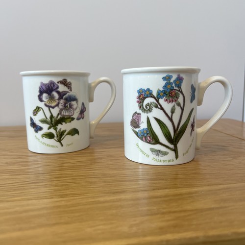 Tazza portmeirion pomona - portmeirion,